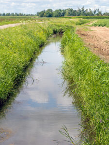 A ditch made to catch access water for farm drainage.